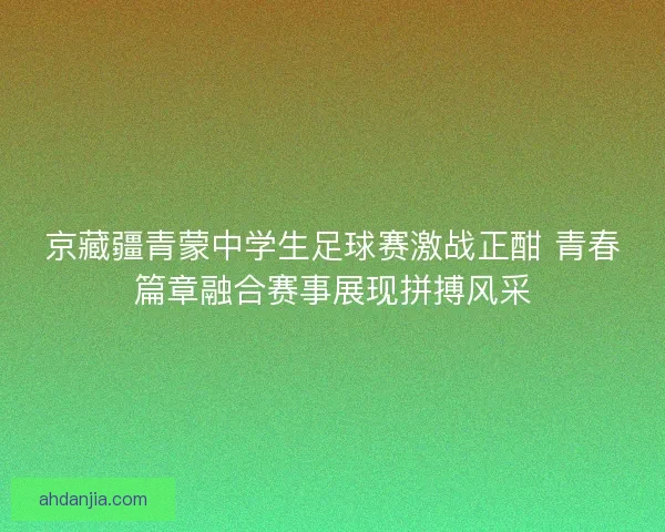 京藏疆青蒙中学生足球赛激战正酣 青春篇章融合赛事展现拼搏风采